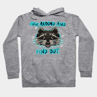 F*CK AROUND AND FIND OUT Hoodie